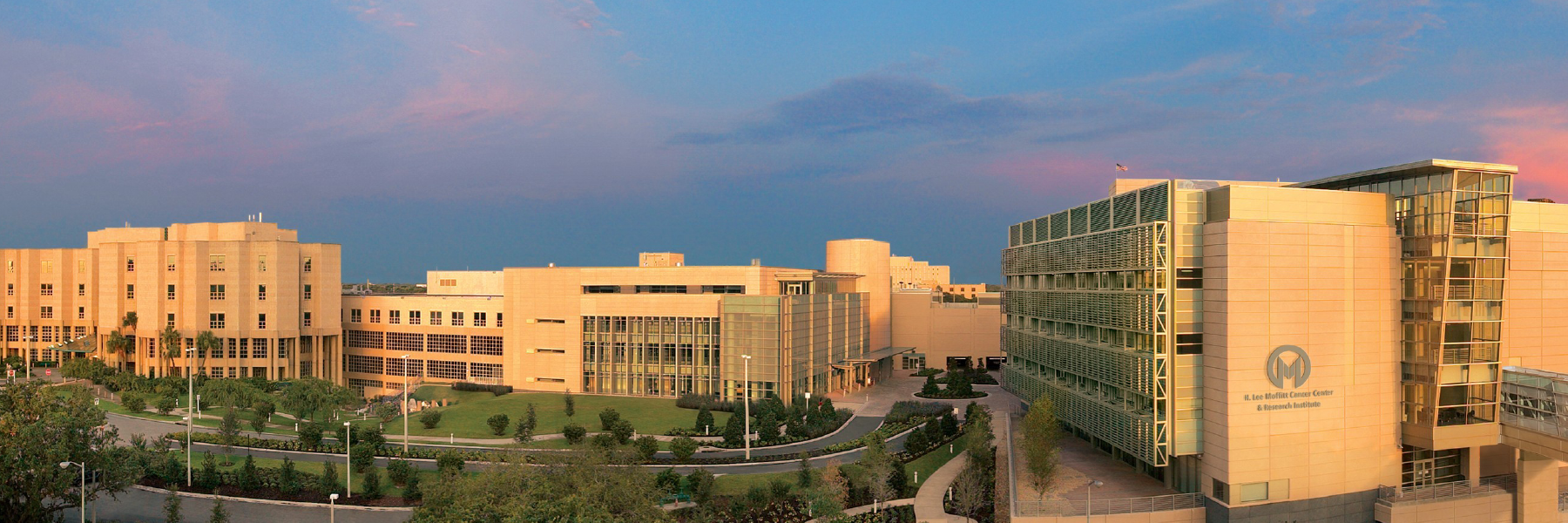 Vidrine Slider 1.png